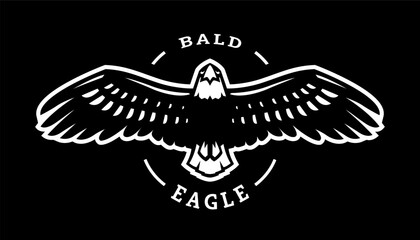 Bald eagle in flight on a dark background.