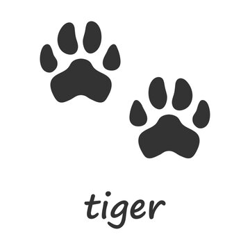Tiger paws. Tiger paw print. Vector illustration.