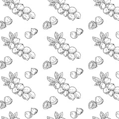 Hand drawn seamless background of Macadamia nut branch. Vector illustration outline. Can used for food or cosmetic background. 