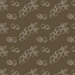 Hand drawn Macadamia nuts Background. Vector illustration on brown backdrop. Outline white sketch on backdrop. 