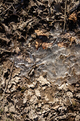 Spring ground covered with thawing snow
