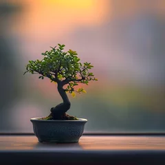 Fotobehang A visually striking composition featuring a bonsai in a minimalist pot © Rongh5152