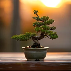  A visually striking composition featuring a bonsai in a minimalist pot © Rongh5152