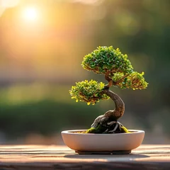 Fotobehang A visually striking composition featuring a bonsai in a minimalist pot © Rongh5152