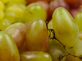 Green - pink ripe  grape berries,  background