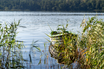 Fototapeta premium Boat at the strzeszynek lake in poznan city on the summer day, sailing and swimming in the heat of the summer in the city