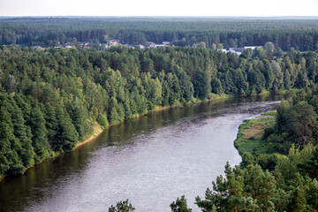 
A green forest and a river running in the middle