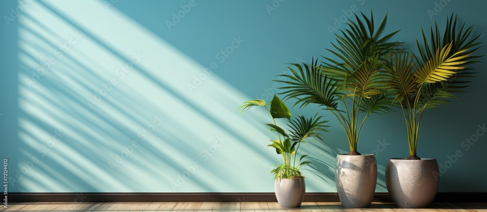 Poster studio interior space with light blue background with shadow of tropical palm leaves. 3d rendering o