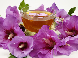 Mallow flower petal tea in a glass cup on a background of fresh  purple mallow flowers