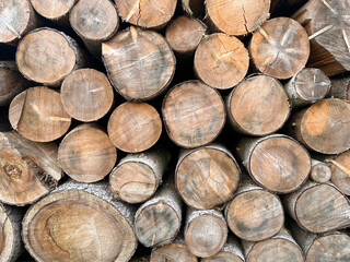 Background from cut wooden trunks. A pile of wooden trunks. Wooden trunks with rings