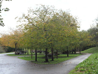 parque de árboles