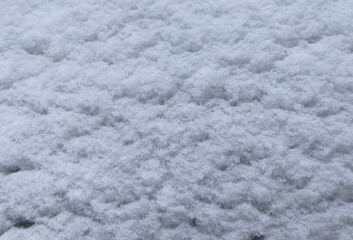 Snow flakes on a surface. A winter closeup