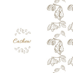 Cashew cover template isolated in Hand drawn style. Vector illustration in brown color