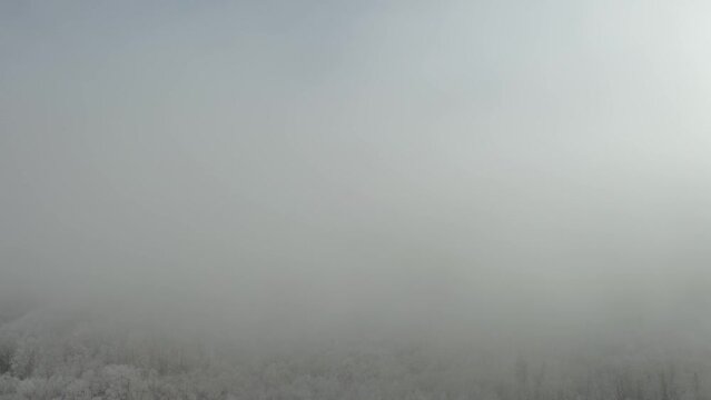 Ukrainian drone flies over the peaks of the mountainous Carpathian region with a winter pattern of snowy beech trees on the tops, river valleys shrouded in fog