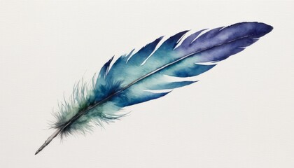 A blue and white feather on a white background