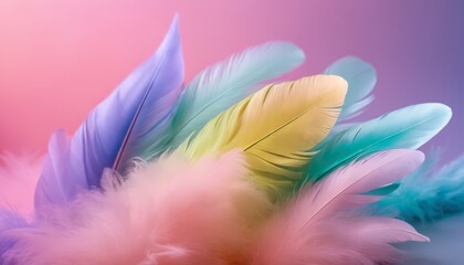 A colorful feather with pink, purple, blue, and yellow colors