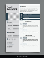 Obraz premium Professional Vector Resume/CV templates