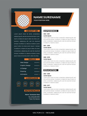 Professional Vector Resume/CV templates