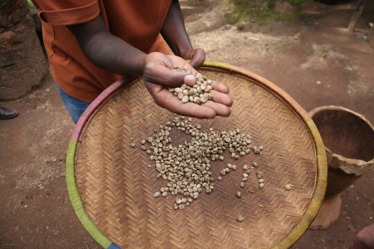 Caf&eacute; natural