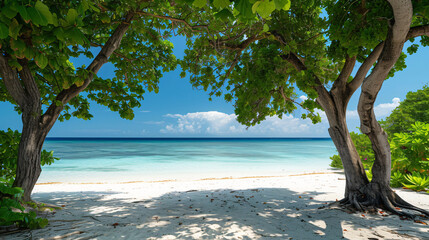 Maldives Kolhumadulu Atoll Tropical beach