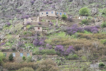
A view of an old rural area in spring