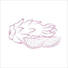 Dragon fruit in doodle style.