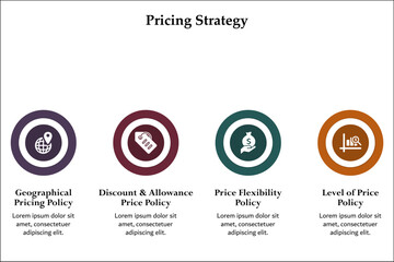 Four aspects of Pricing Strategy - Geographical, Discount and allowance, price flexibility, level of price policy. Infographic template with icons - obrazy, fototapety, plakaty