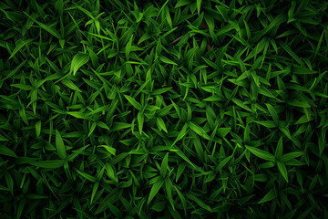 Artificial grass texture. Lush and maintenance-free. Ideal image for showcasing synthetic turf, suitable for various contexts such as landscaping, sports fields, or illustrating eco-friendly alternati