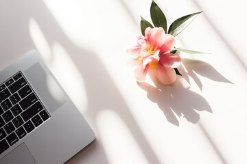 Minimalist workspace with laptop and pink flower on white background with shadows.