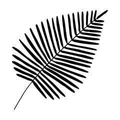 a black and white palm leaf on a white background - obrazy, fototapety, plakaty