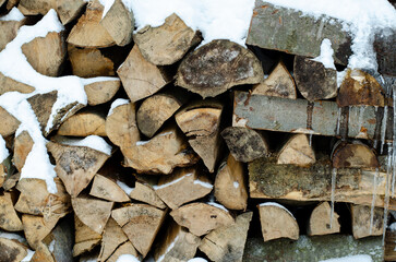 Firewood. Tree structure. Burning for the fireplace. A bunch of trees.