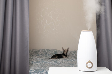 Ultrasonic diffuser on the table, air humidifier in the bedroom, cute little dog on background