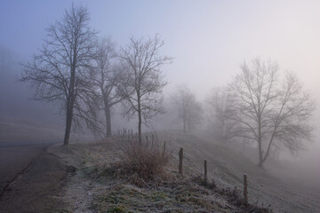 Winter landscape at sunrise with fog and deciduous trees