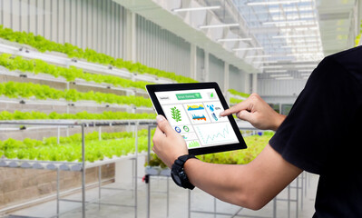 Fototapeta na wymiar Smart farming argriculture concept.Man hands holding tablet on blurred oorganic hydroponic vegetable garden as background