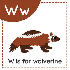 Learning English alphabet for kids. Letter W. Cute cartoon wolverine.