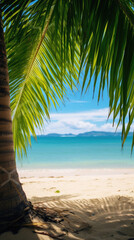 Coconut palm leaves on a tropical beach with blue sky background