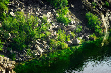 Greenery sprouting amidst rocks beside a calm lake.