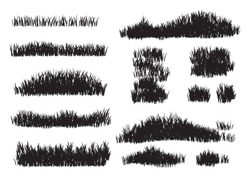 Collection of random hand drawn scribble of grass, shape, grass shapes vector set