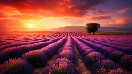 Foto op Plexiglas Lavender field at sunset in Provence, France . © Art AI Gallery