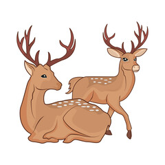 Naklejka na ściany i meble deer animal illustration