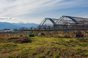 Fototapeta na wymiar farm or agriculture industry in Matsumoto, Nagano, Japan