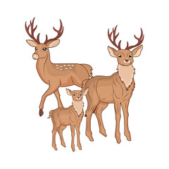 deer animal illustration