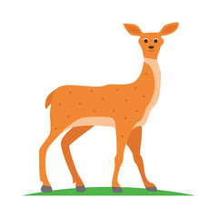 deer illustration