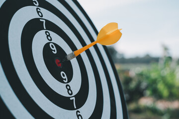 Bullseye is a target of business. Dart is an opportunity and Dartboard is the target and goal. ...