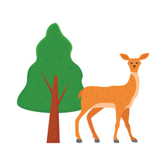 deer illustration
