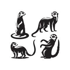 Curious Contours: Meerkat Silhouette Collection Presenting the Inquisitive Stances and Expressions of These Endearing Creatures - Meerkat Illustration - Meerkat Vector

