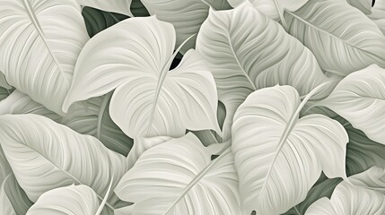 Collection of tropical leaves,foliage plant in white color.Abstract leaf decoration design background
