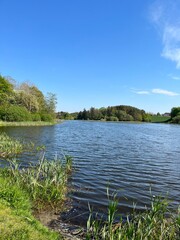 landscape with lake and trees