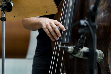 Upright bass player's hand