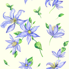 Watercolor clematis flowers - realistic vintage bouquets of blue flowers on a light background. Retro style.